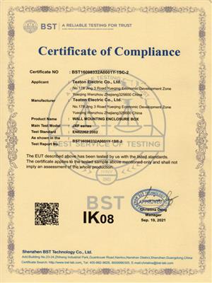 IK08 Issued by BST